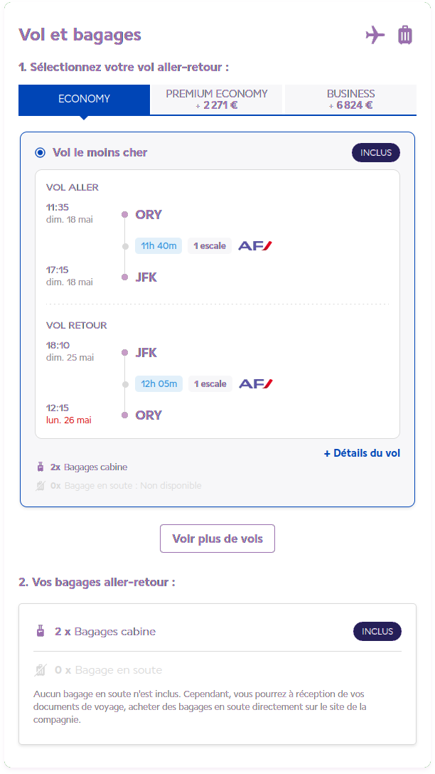 Website interface showing different flight options